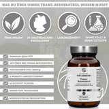 Транс-ресвератрол с пиперин