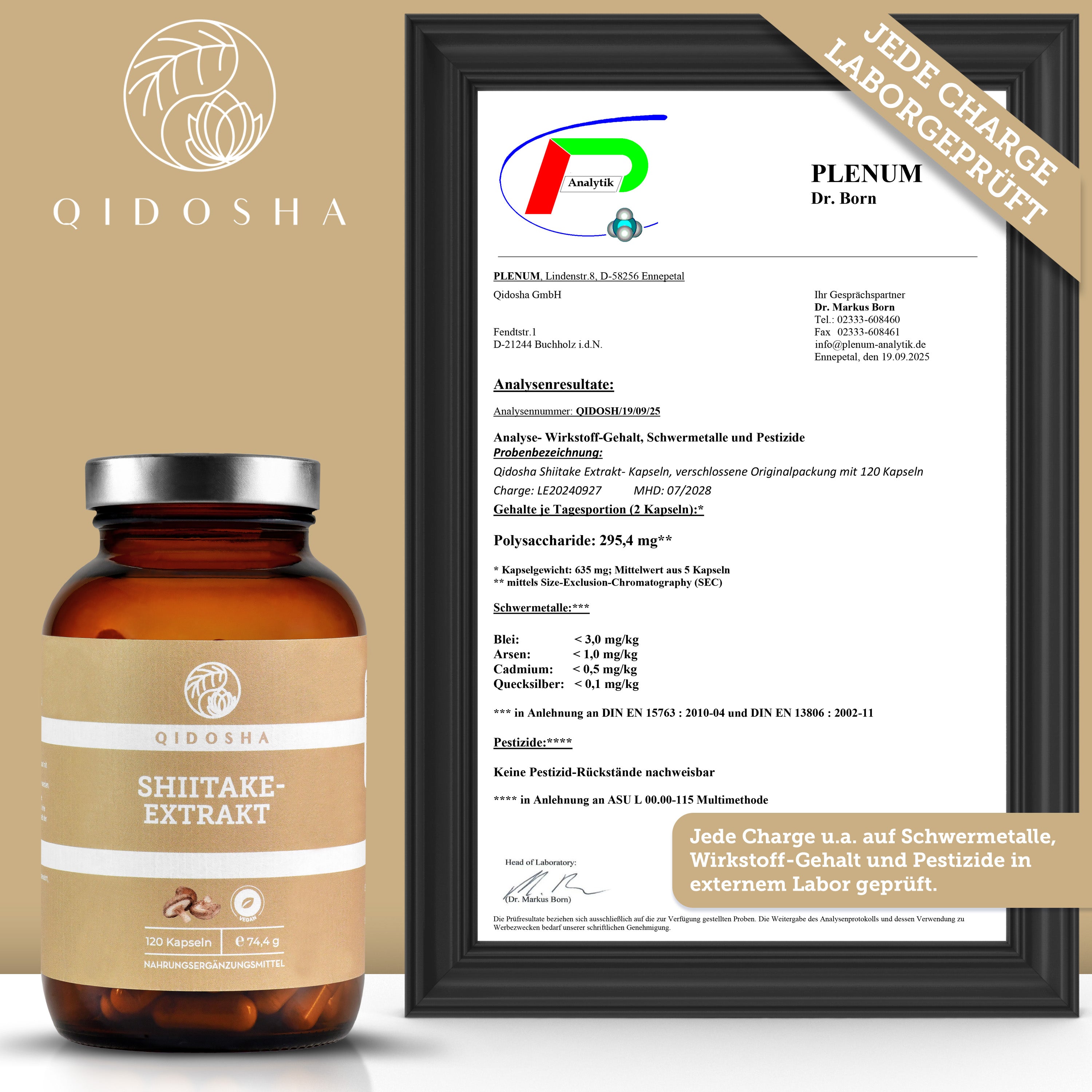 QIDOSHA Shiitake-Extrakt: 120 vegane Kapseln in hochwertiger, laborgeprüfter Qualität, mit Shiitake-Pilzextrakt. Zertifikat zeigt Reinheit und Wirkstoffgehalt. Premium-Nahrungsergänzungsmittel.