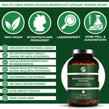 Extract de fructe Saw Palmetto (doză nouă)