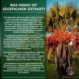 Extract de fructe Saw Palmetto (doză nouă)