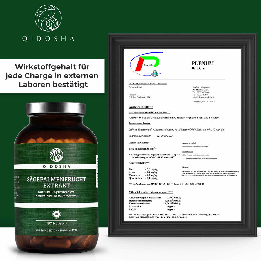 Sägepalmen Fruchtextrakt im Glas