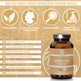 Spermidine from wheat germ extract with 3.3mg spermidine per capsule