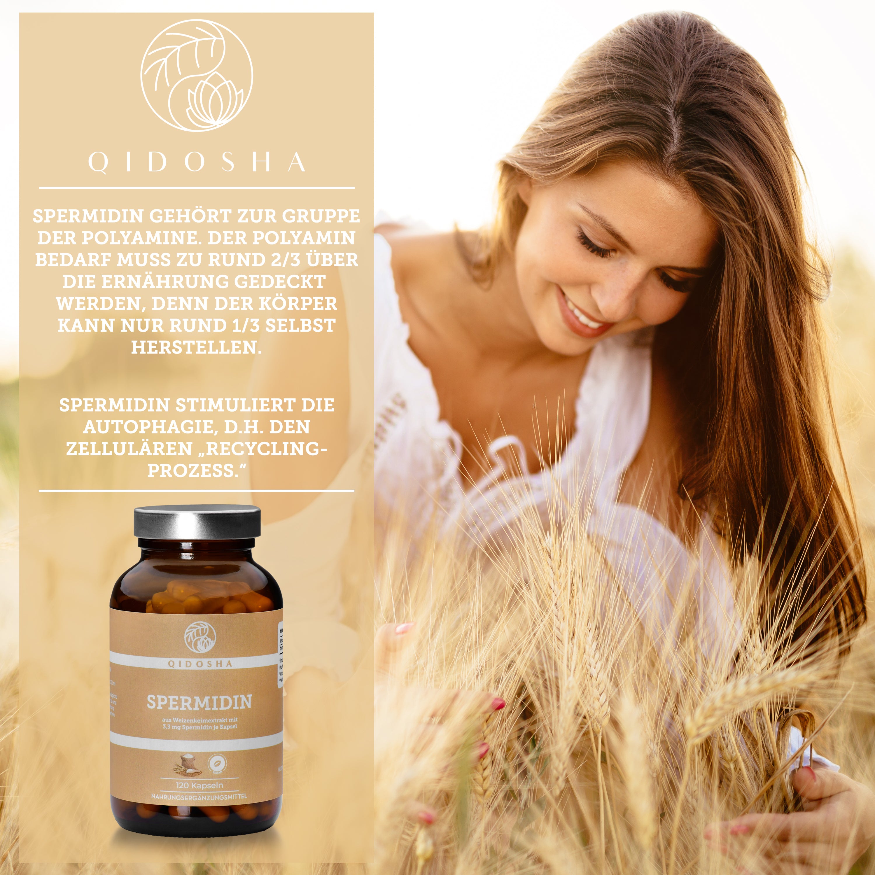 Qidosha Spermidin Supplement, 120 Kapseln, fördert zelluläres Recycling. Premium-Qualität, ohne Füllstoffe, inspiriert von ayurvedischer und westlicher Kräuterheilkunde.