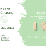 Weidenrinden-Extrakt in veganer Kapsel von QIDOSHA, frei von Gelatine und Allergenen, mit hohem Salicin-Gehalt, nachhaltig in Glasverpackung, garantiert ohne Zusatzstoffe.
