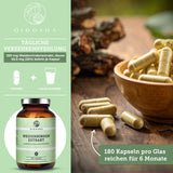 Weidenrinden-Extrakt von QIDOSHA: Premium-Qualität, 180 vegane Kapseln im Glas. Hoher Salicin-Gehalt, laborgeprüft, ohne Zusatzstoffe, nachhaltige Verpackung. Ideal für 6 Monate.