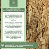 Weidenrinden-Extrakt der Marke QIDOSHA: Deutsche Premium-Kapseln mit 25% Salicin, wasserbasiert extrahiert, laborgeprüft, ohne Zusatzstoffe, in umweltfreundlichen Gläsern verpackt.