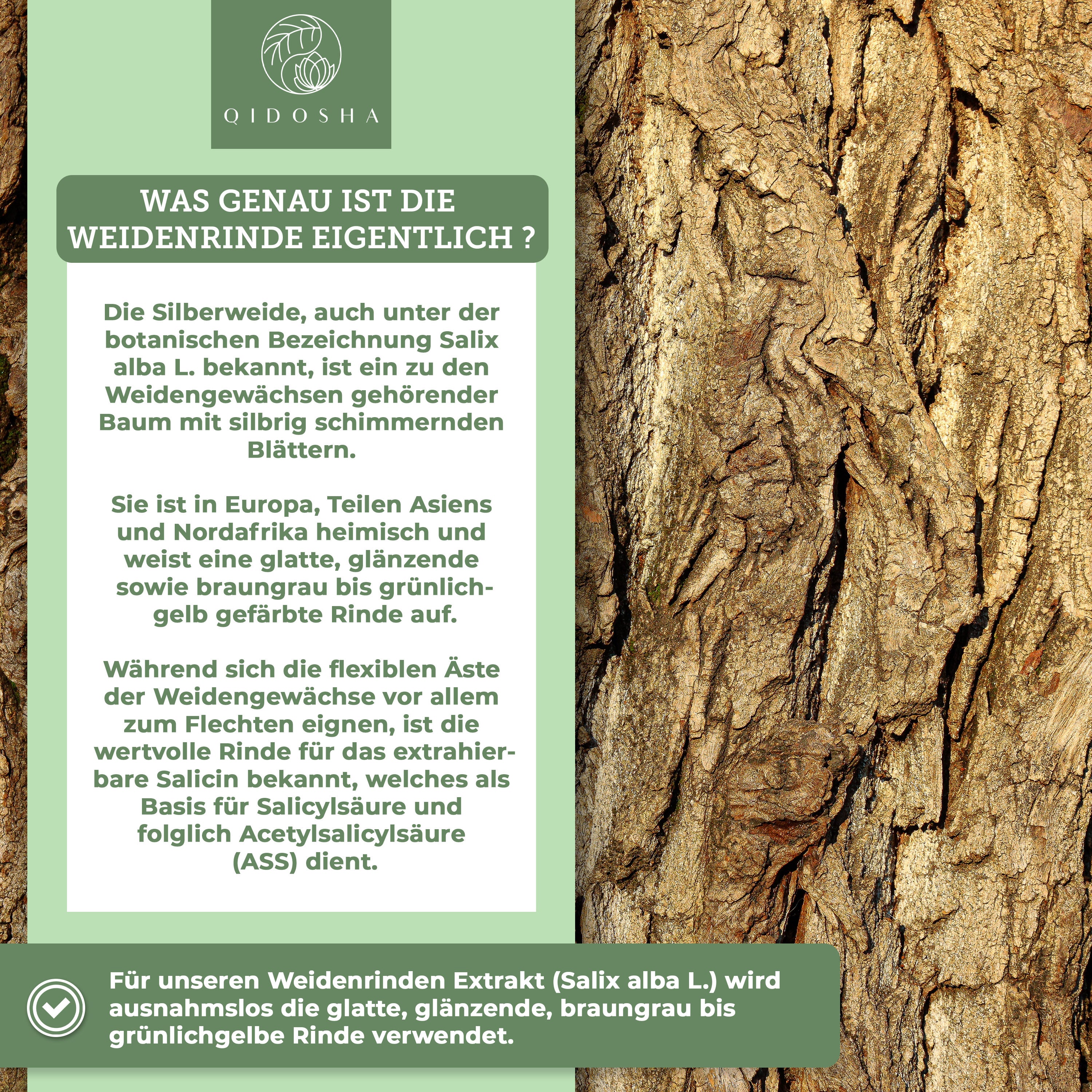 Weidenrinden-Extrakt der Marke QIDOSHA: Deutsche Premium-Kapseln mit 25% Salicin, wasserbasiert extrahiert, laborgeprüft, ohne Zusatzstoffe, in umweltfreundlichen Gläsern verpackt.