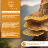 Екстракт от гъбички Тиндер