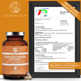 Zunderschwamm-Extrakt von QIDOSHA in brauner Glasflasche, 120 vegane Kapseln, laborgeprüft auf hohe Qualität, ohne Füllstoffe. Prüfprotokoll zeigt Wirkstoffgehalt und Reinheit.