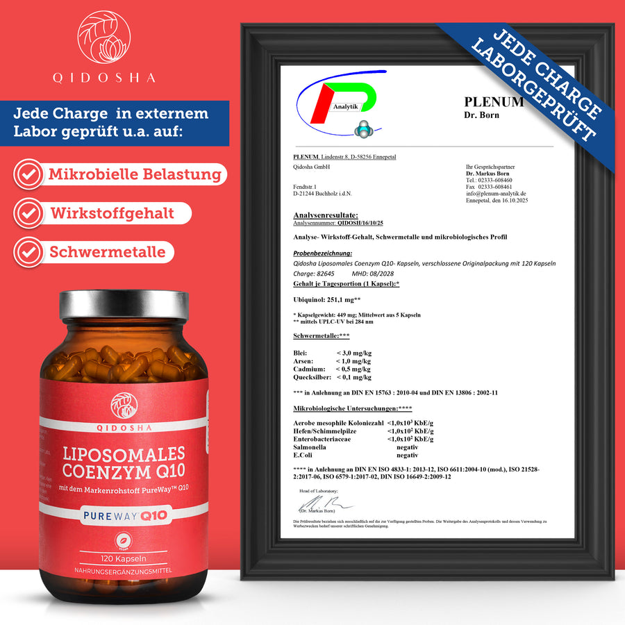 QIDOSHA Coenzym Q10 liposomal mit PureWay™ Q10: Premium-Nahrungsergänzungsmittel, laborgeprüft auf Reinheit und Wirksamkeit, ohne Füllstoffe, in nachhaltigem Glasbehälter.