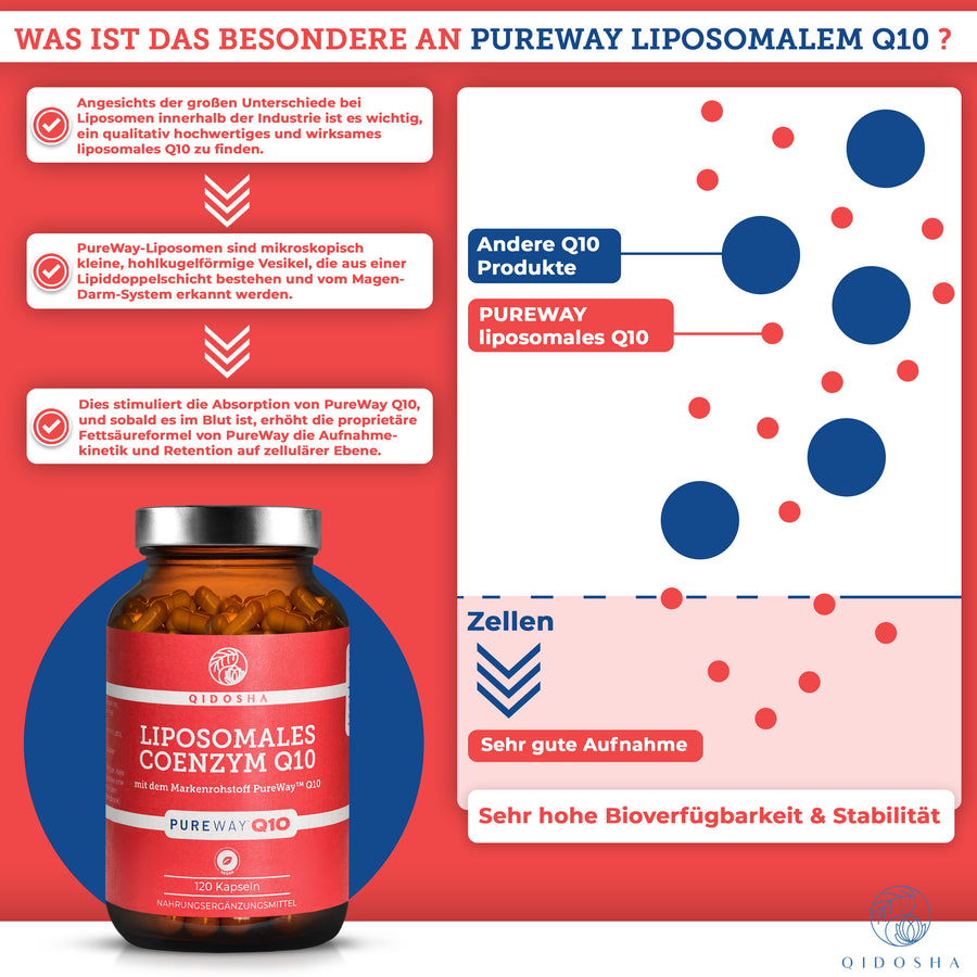 Liposomales Coenzym Q10 von QIDOSHA mit PureWay™ Q10 für verbesserte Bioverfügbarkeit, in braunem Glas mit 120 Kapseln, ohne Füll- oder Zusatzstoffe.