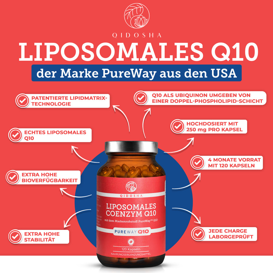 Coenzym Q10 liposomal mit PureWay™ Q10 von Qidosha, Premium-Qualität, hohe Bioverfügbarkeit, laborgeprüft, ohne Füllstoffe, 250 mg pro Kapsel, 120 Kapseln im Glas.