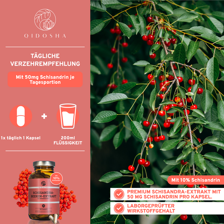 Schisandra Extrakt mit 10% Schisandrin: Premium, laborgeprüft, vegan, ohne Zusatzstoffe. 180 Kapseln im Braunglas. TCM-Nahrungsergänzungsmittel, täglich eine Kapsel. Hergestellt in Deutschland.
