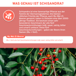 Schisandra Extrakt mit 10% Schisandrin, Premium-Qualität, laborgeprüft und rein, zeigt rote Wu-Wei-Zi-Beeren. Hergestellt in Deutschland, ohne Zusatzstoffe, in lichtgeschütztem Glas verpackt.