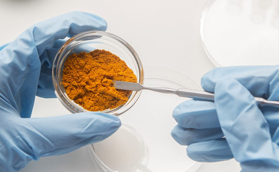 QIDOSHA: Premiumqualität