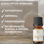 EUKALYPTUS_Bild_nr2