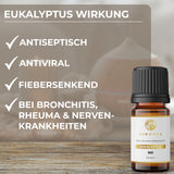 EUKALYPTUS_Bild_nr2