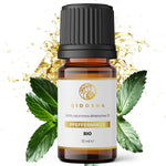 PFEFFERMINZE_Bild_nr1