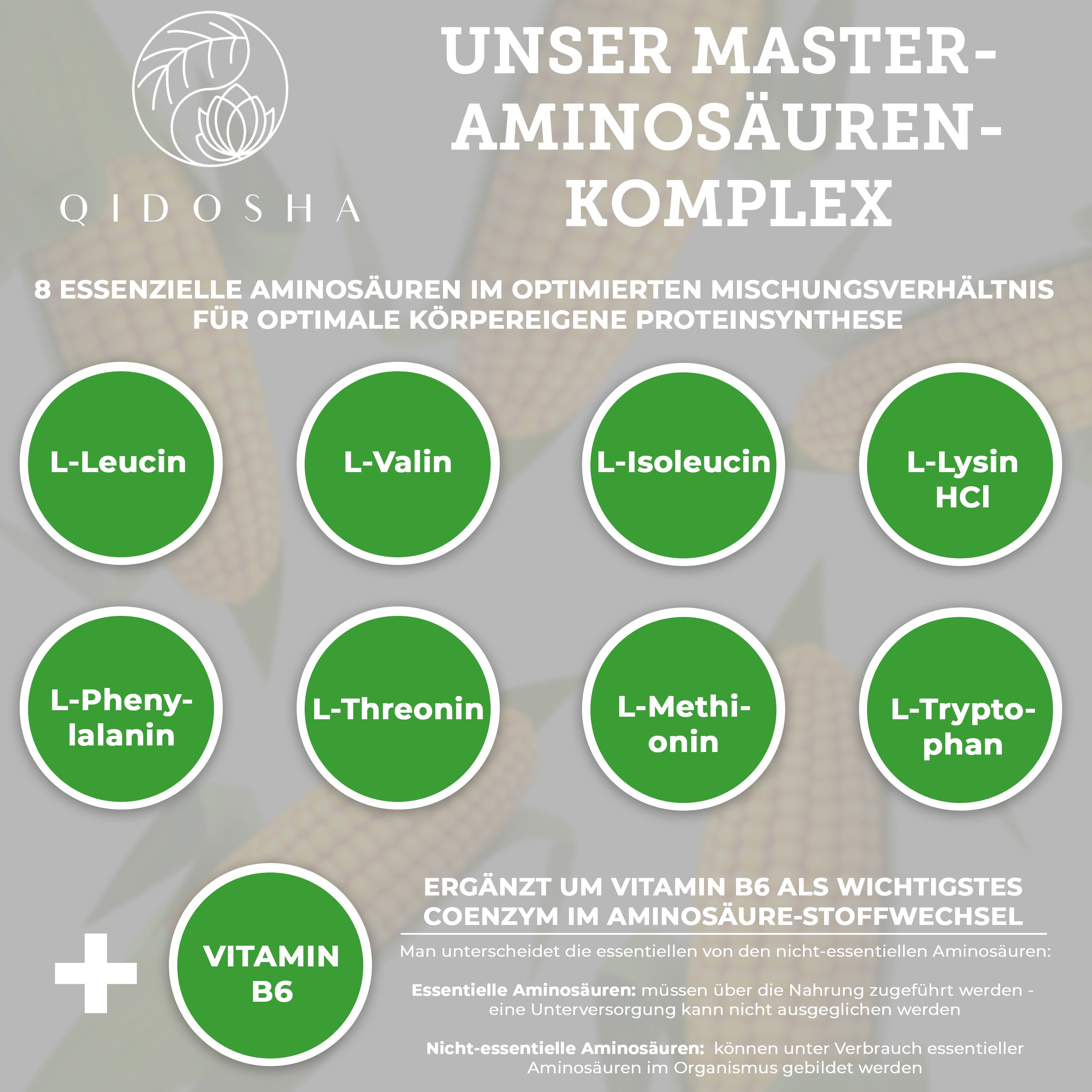 Master Aminosäuren Komplex plus Vitamin B6 als Kofaktor in Kapseln online kaufen – QIDOSHA
