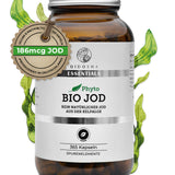 Bio Jod (pflanzlich) aus der Kelpalge im Glas von Qidosha Essentials: Premium, vegan, nachhaltig in Deutschland hergestellt, 365 Kapseln, hohe Qualität, laborgeprüfte Reinheit.