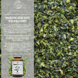 Biologisch jodium (plantaardig) uit kelpalgen