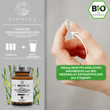 Magnésium (végétal) issu d'extrait de laitue de mer biologique