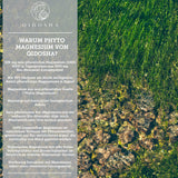 Magnésium (végétal) issu d'extrait de laitue de mer biologique