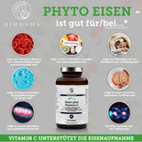 Fier (vegetal) din extract de frunze de curry plus vitamina C naturală din acerola