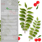 Fier (vegetal) din extract de frunze de curry plus vitamina C naturală din acerola