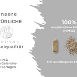 Fier (vegetal) din extract de frunze de curry plus vitamina C naturală din acerola