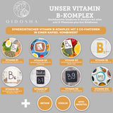 Vitamin B complex bioactive with cofactors