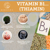 Vitamin B complex bioactive with cofactors