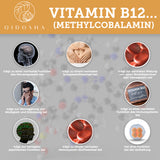 Vitamin B complex bioactive with cofactors