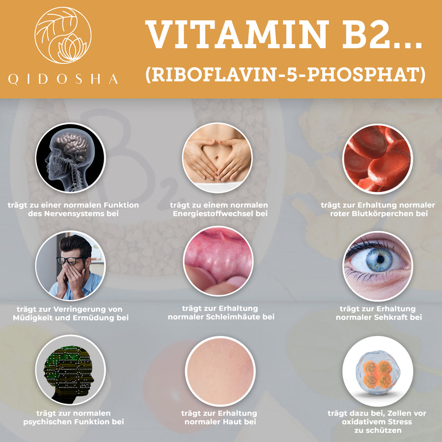 Vitamin B complex bioactive with cofactors in a glass