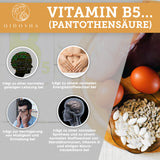 Vitamin B complex bioactive with cofactors
