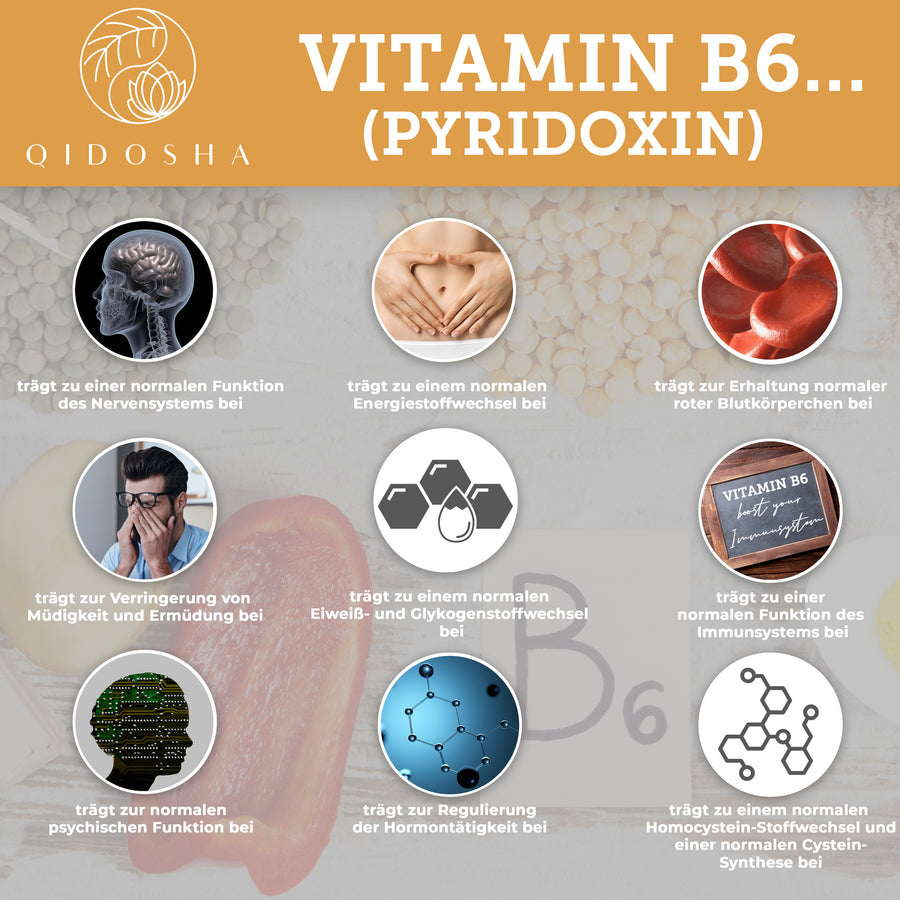 Vitamin B Komplex bioaktiv mit Kofaktoren im Glas
