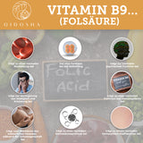 Vitamin B complex bioactive with cofactors