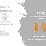 Vitamin B complex bioactive with cofactors