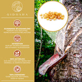 Екстракт от тамян (Boswellia Serrata 85%)