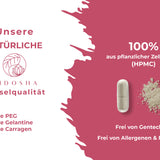 Qidosha_Ashwagandha_Kapseln_dm2LygMWcuyg0