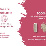 Qidosha_Ashwagandha_Kapseln_dm2LygMWcuyg0