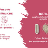 Qidosha_Ashwagandha_Kapseln_dm2LygMWcuyg0