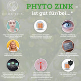 Zinc din extract de frunze de guava