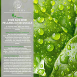 Zinc din extract de frunze de guava