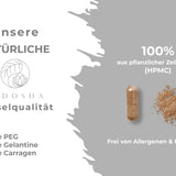 Zinc din extract de frunze de guava