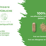 Qidosha_BioBrahmi_Kapsel_