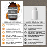Chaga Extrakt