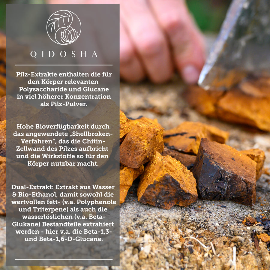 Chaga extract in a glass