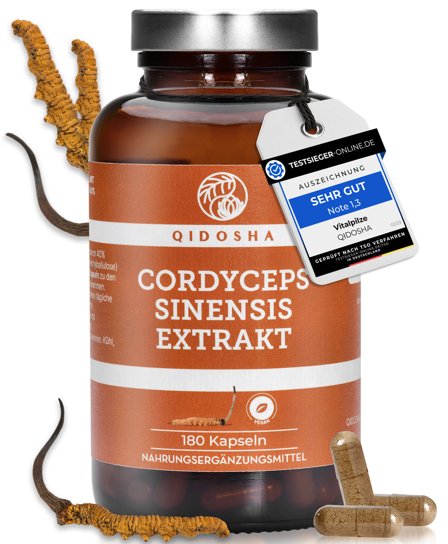 Cordyceps sinensis (CS-4) extract in a glass (Chinese caterpillar fungus)