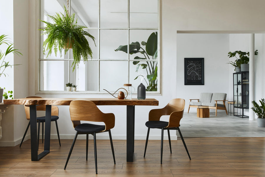 Qidosha_Diffusor_7